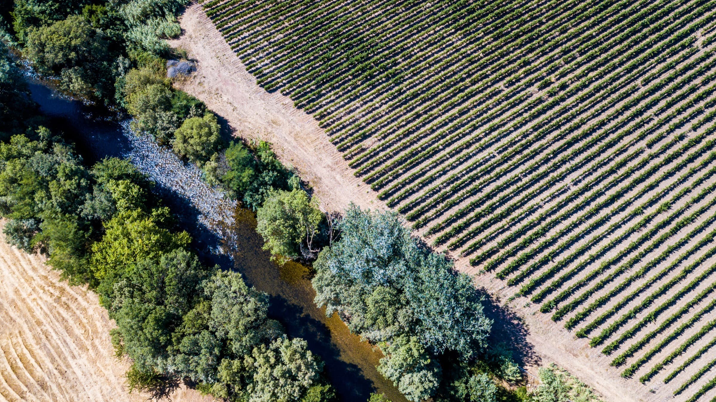 Paysage de l'IGP Haute Vallée de l'Orb
