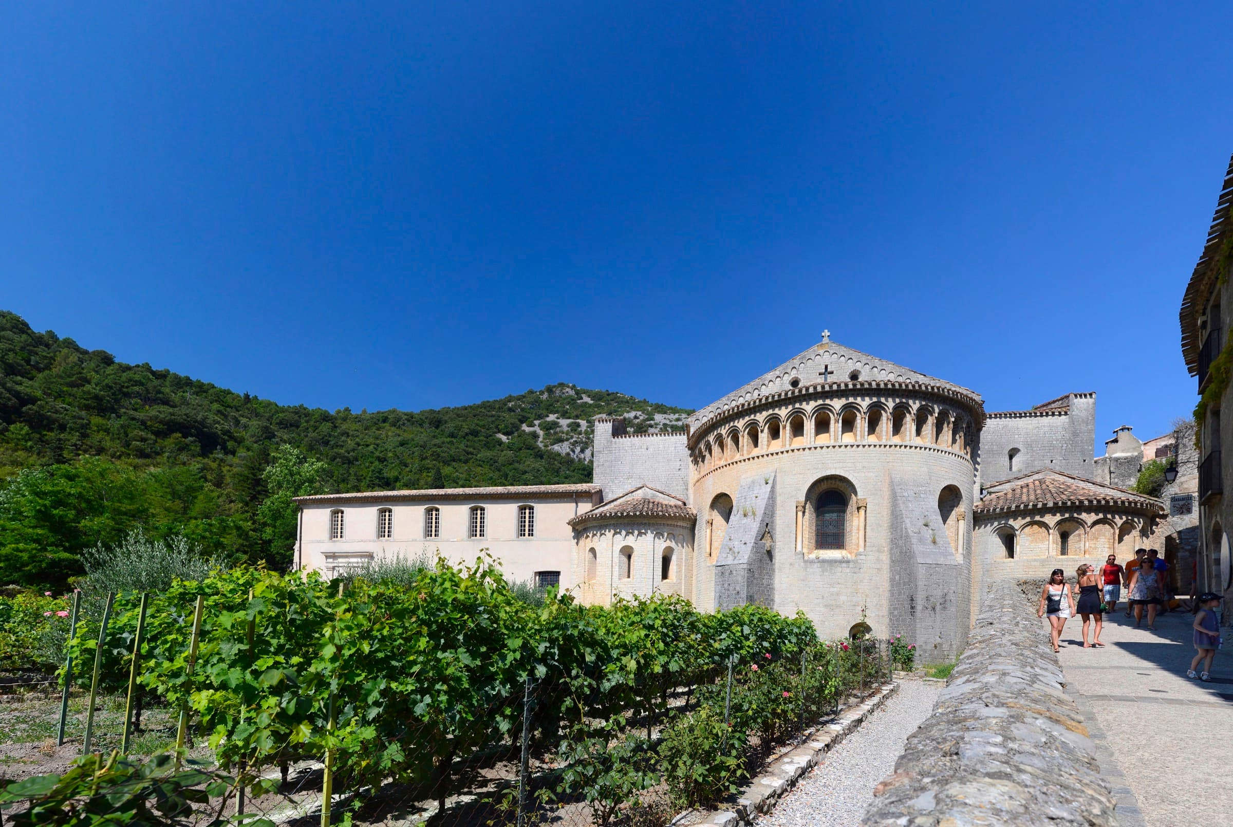 Paysage de l'IGP Saint-Guilhem-le-Désert