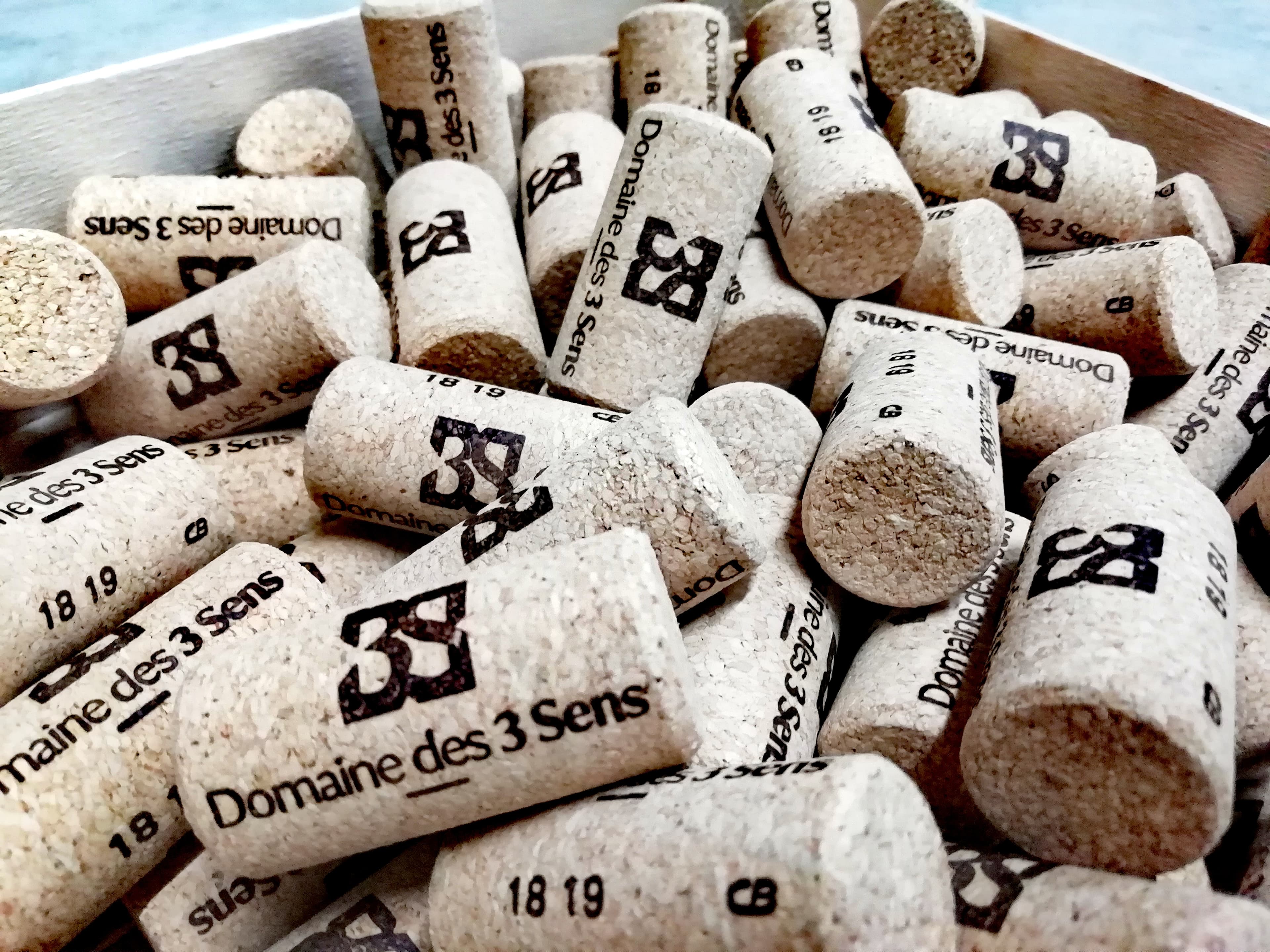 DOMAINE DES 3 SENS — paysage du domaine