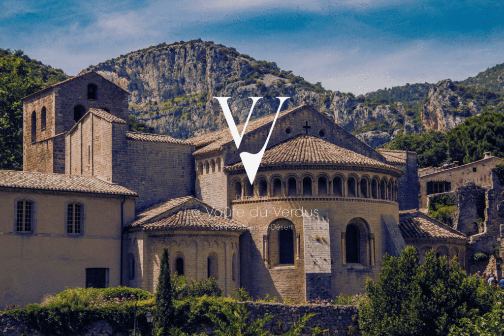 DOMAINE LA VOUTE DU VERDUS — paysage du domaine