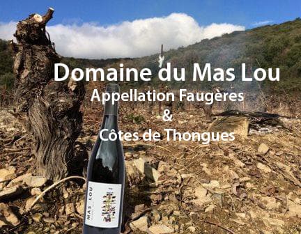 MAS LOU — paysage du domaine
