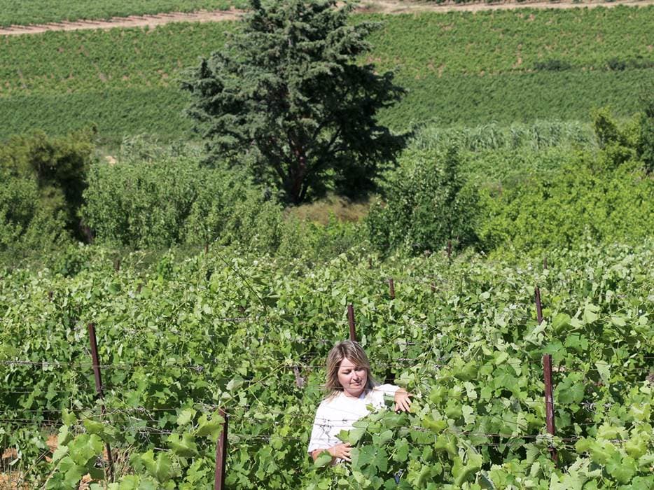 MAS FARCHAT — paysage du domaine