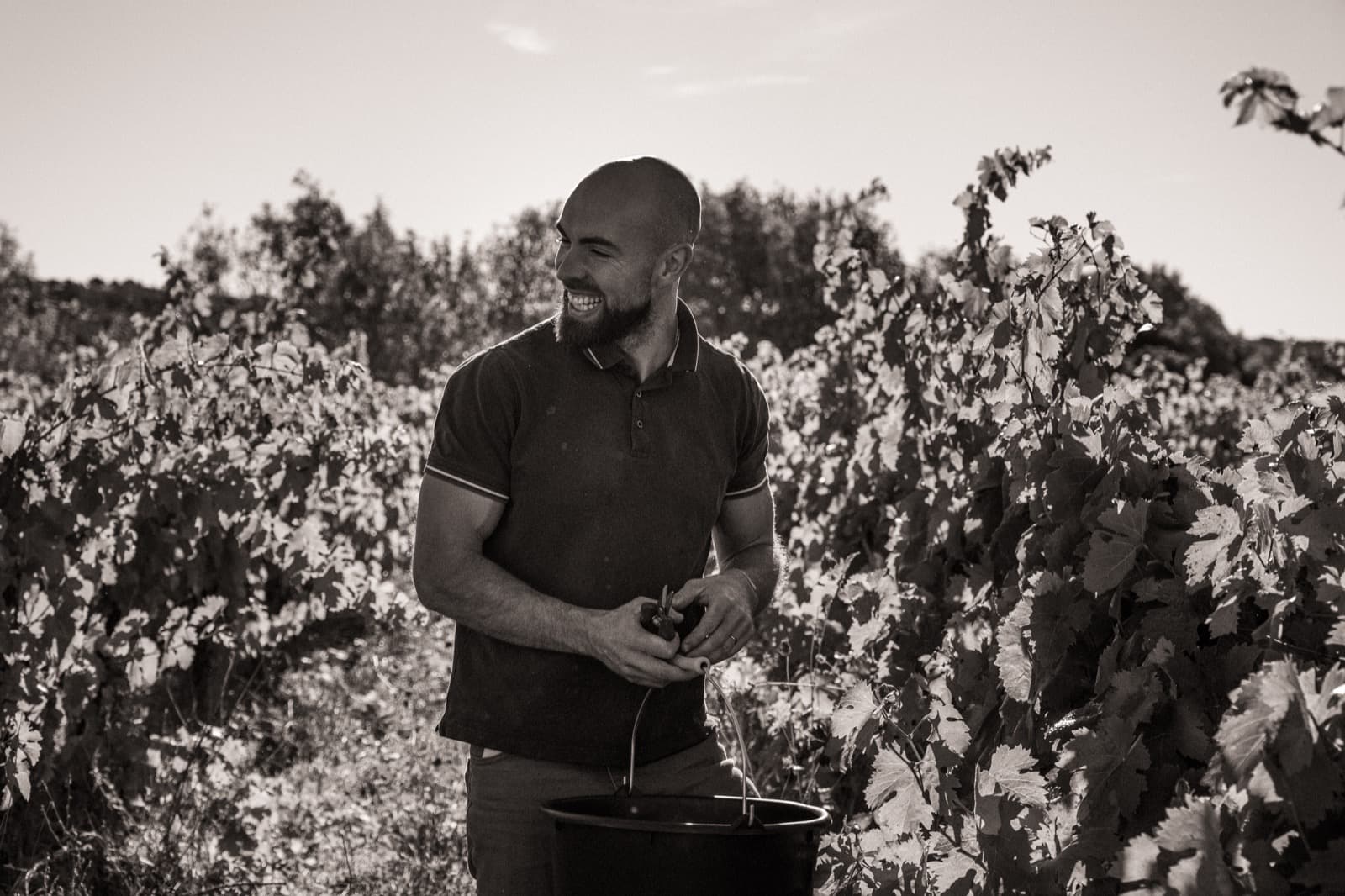 DOMAINE DE L'EVOHE — paysage du domaine