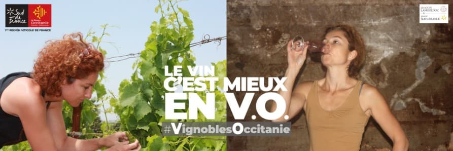 DOMAINE LES TERRES D'ARMELLE — paysage du domaine
