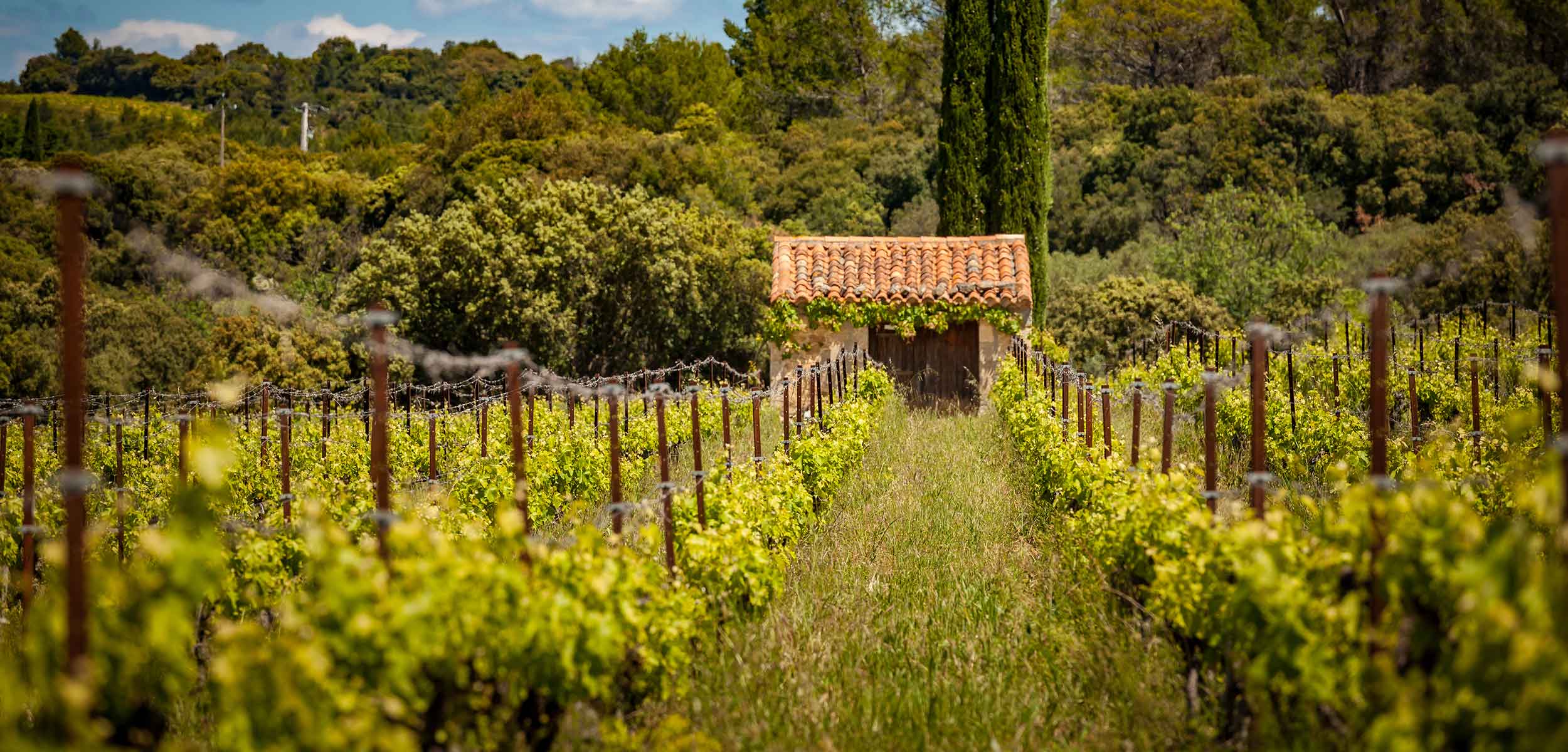 MAS DE LA SERANNE — paysage du domaine