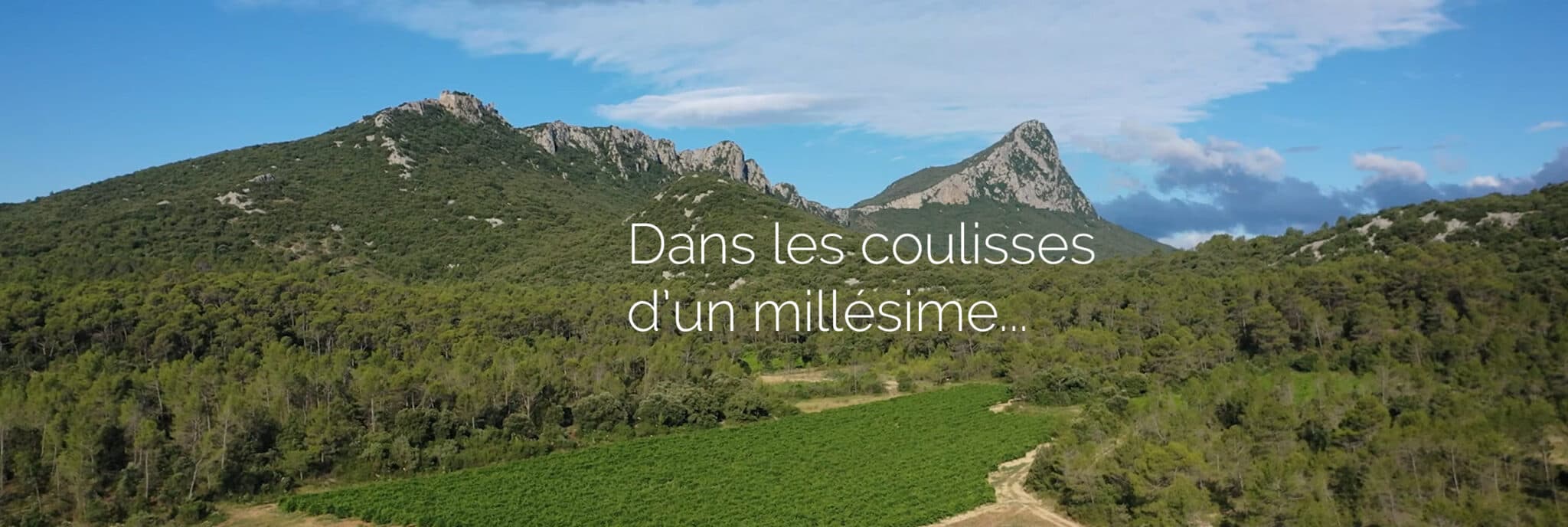 VIGNOBLES DES 3 CHATEAUX — paysage du domaine