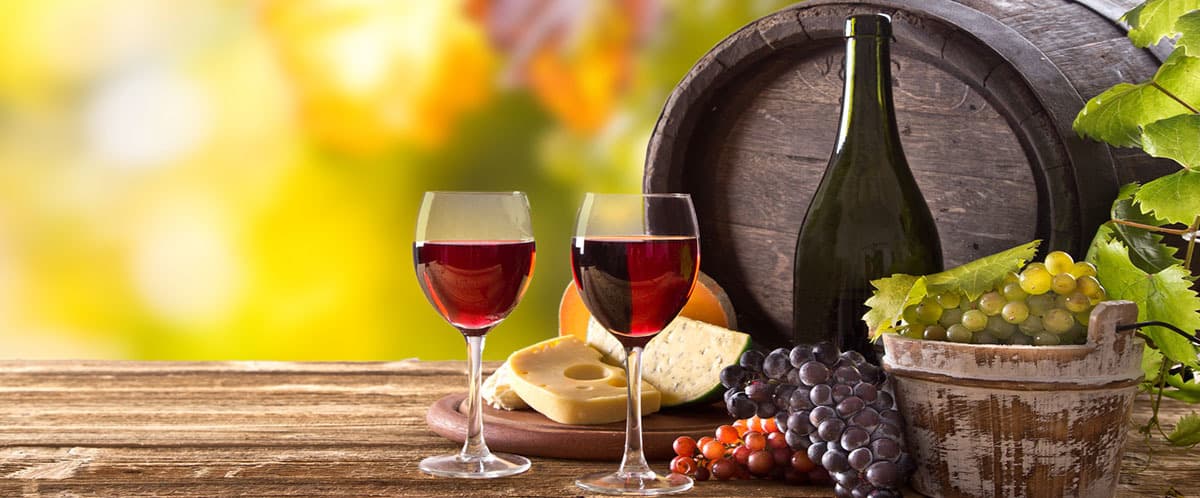 DOMAINE MAS ALEXANDRE — paysage du domaine