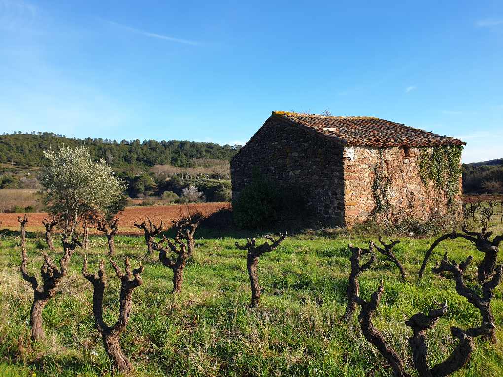 MAS DE CLANNY — paysage du domaine