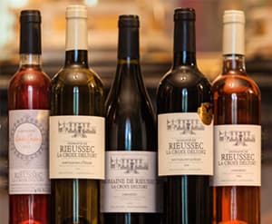 DOMAINE DE RIEUSSEC — paysage du domaine
